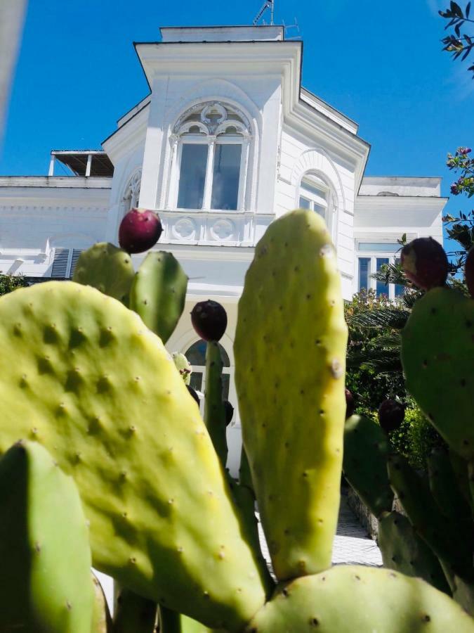 Villa Alessandro - Anacapri Анакапри Экстерьер фото